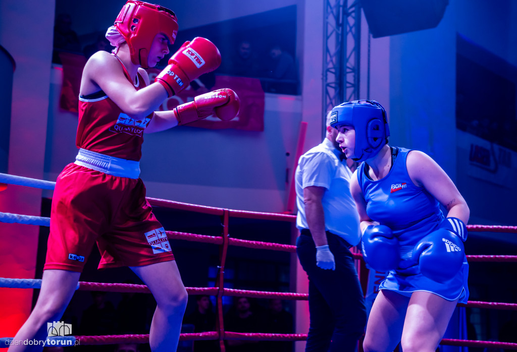 Walki wieczoru na XXIX MTB Copernicus Boxing Cup