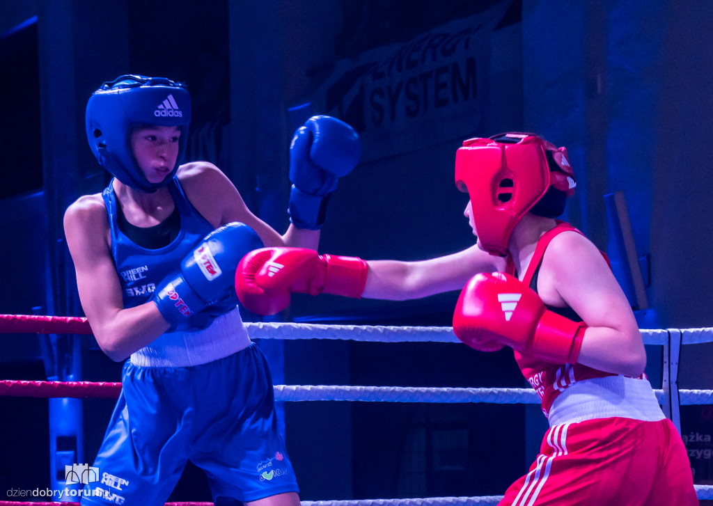 Walki wieczoru na XXIX MTB Copernicus Boxing Cup