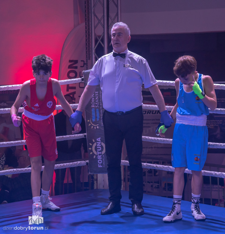 Walki wieczoru na XXIX MTB Copernicus Boxing Cup