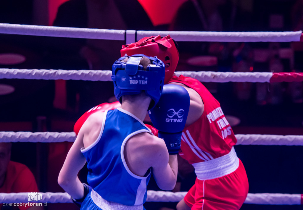 Walki wieczoru na XXIX MTB Copernicus Boxing Cup