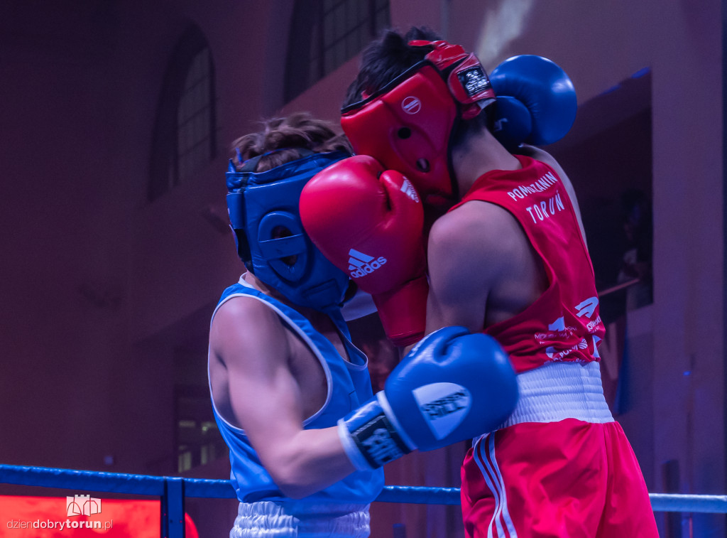 Walki wieczoru na XXIX MTB Copernicus Boxing Cup