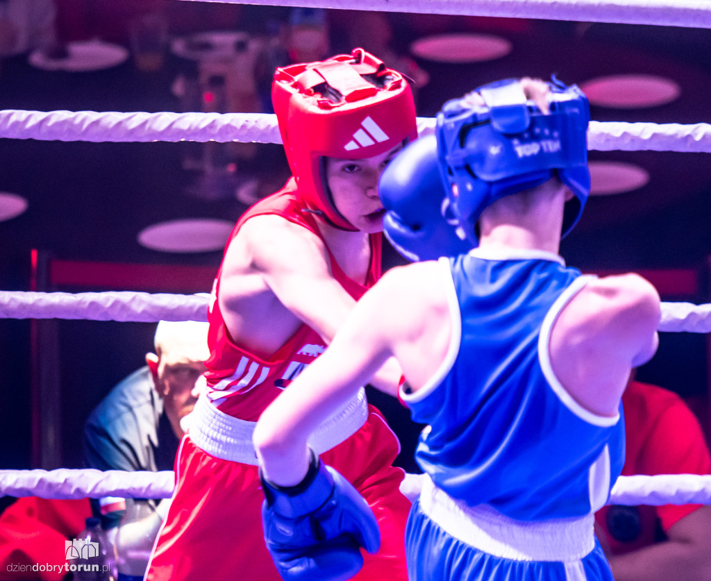 Walki wieczoru na XXIX MTB Copernicus Boxing Cup