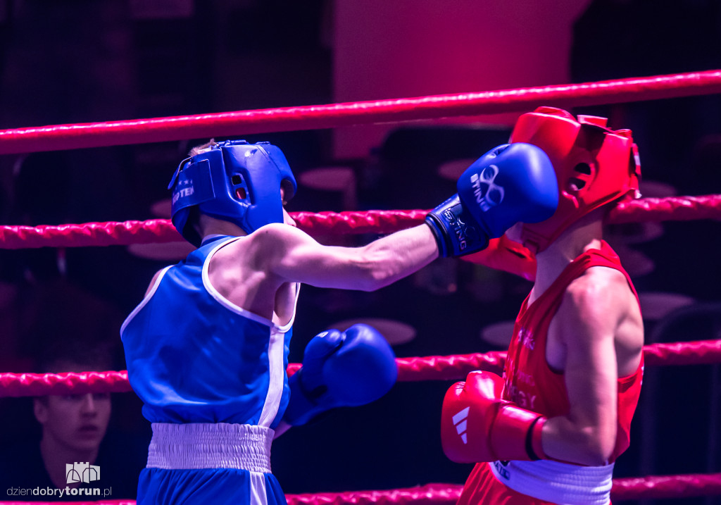 Walki wieczoru na XXIX MTB Copernicus Boxing Cup