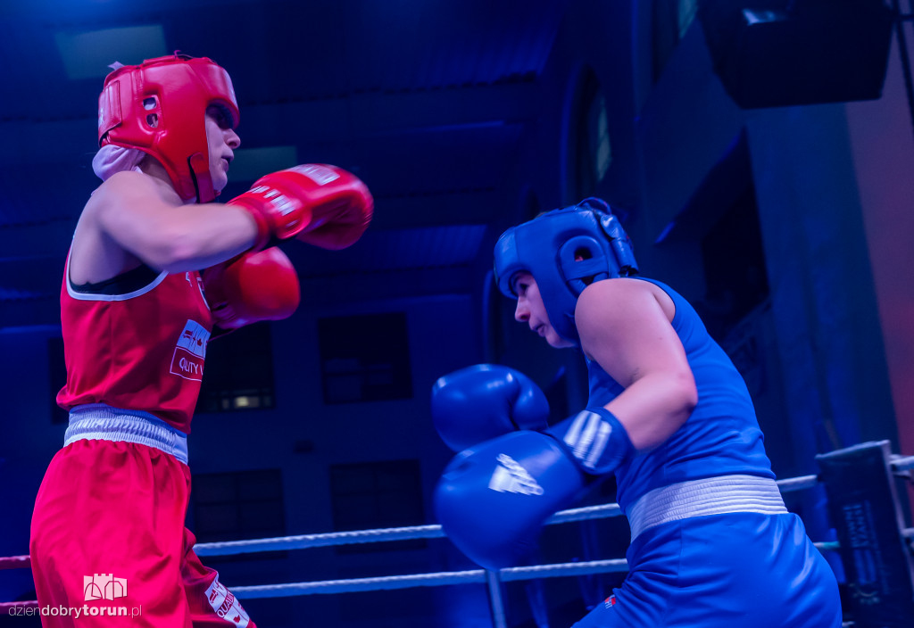 Walki wieczoru na XXIX MTB Copernicus Boxing Cup
