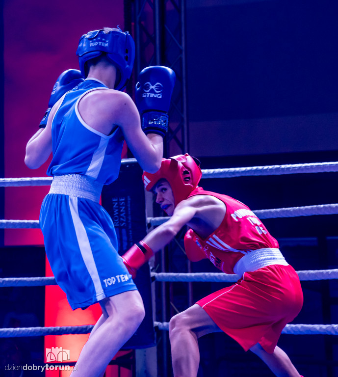 Walki wieczoru na XXIX MTB Copernicus Boxing Cup