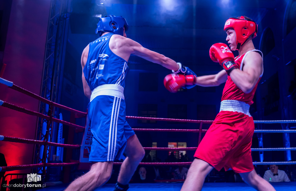 Walki wieczoru na XXIX MTB Copernicus Boxing Cup