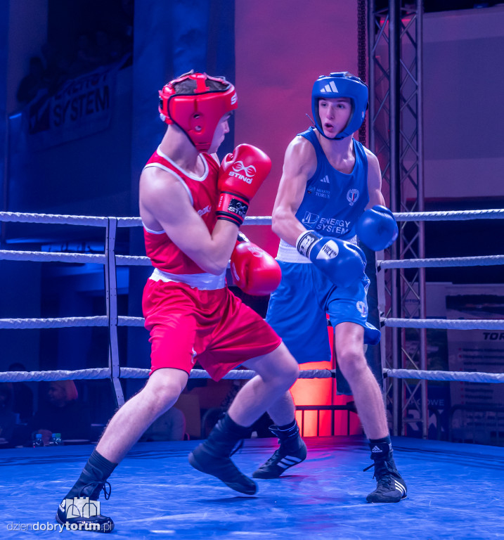 Walki wieczoru na XXIX MTB Copernicus Boxing Cup