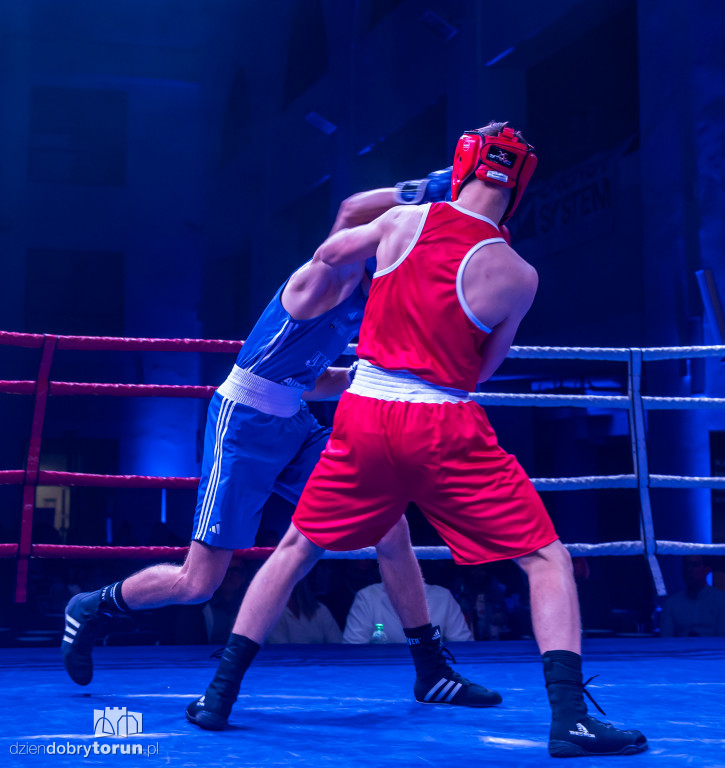 Walki wieczoru na XXIX MTB Copernicus Boxing Cup