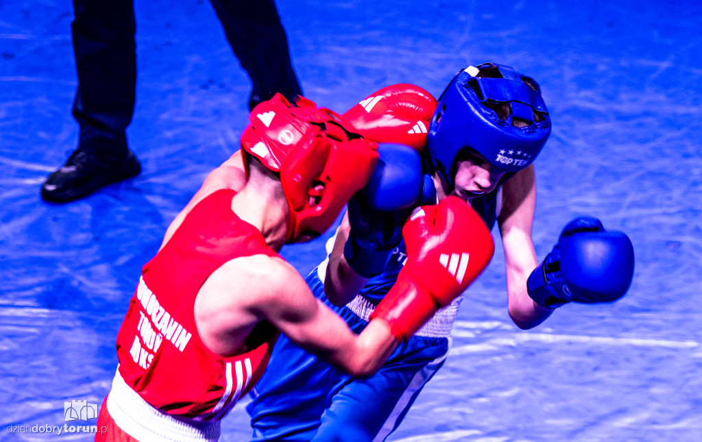 Walki wieczoru na XXIX MTB Copernicus Boxing Cup