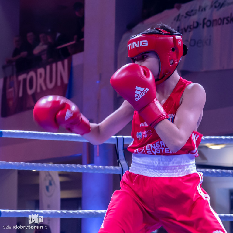 Walki wieczoru na XXIX MTB Copernicus Boxing Cup