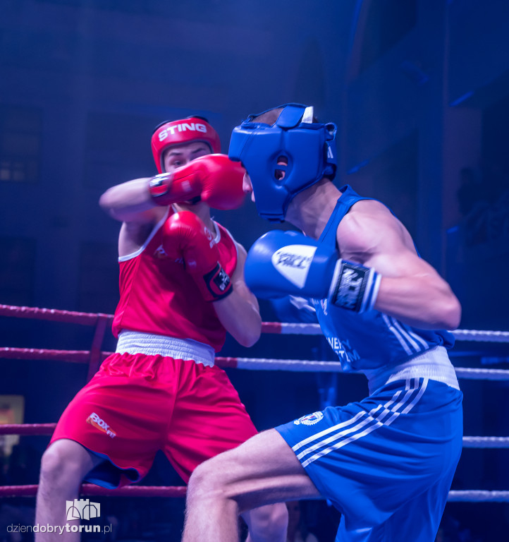 Walki wieczoru na XXIX MTB Copernicus Boxing Cup