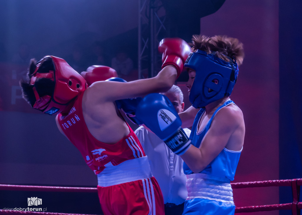 Walki wieczoru na XXIX MTB Copernicus Boxing Cup