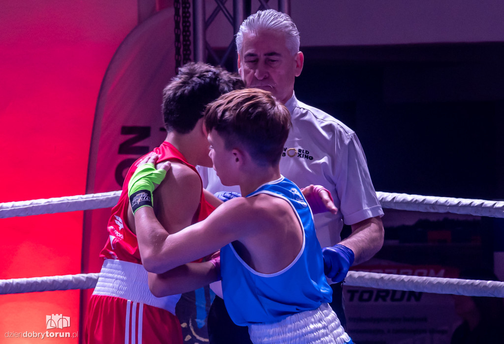 Walki wieczoru na XXIX MTB Copernicus Boxing Cup