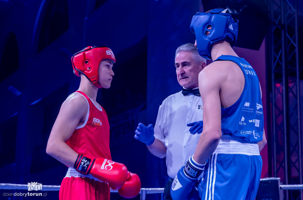 Walki wieczoru na XXIX MTB Copernicus Boxing Cup