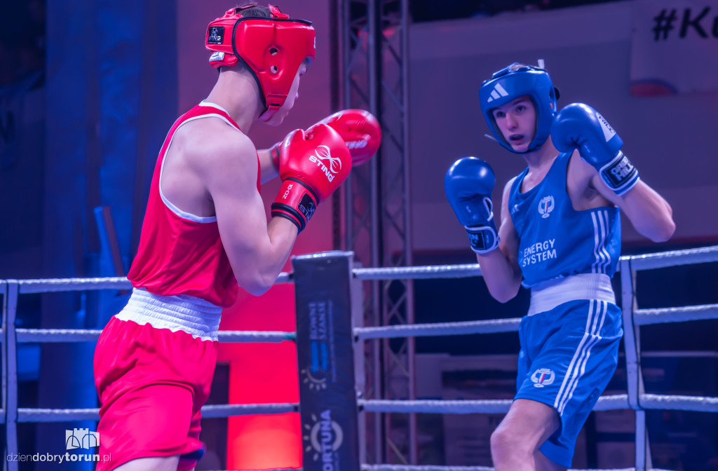 Walki wieczoru na XXIX MTB Copernicus Boxing Cup