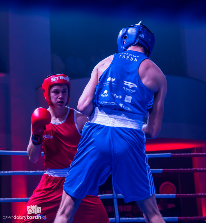 Walki wieczoru na XXIX MTB Copernicus Boxing Cup