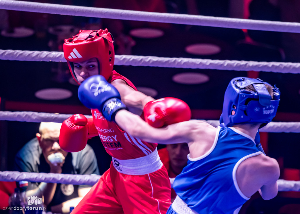 Walki wieczoru na XXIX MTB Copernicus Boxing Cup