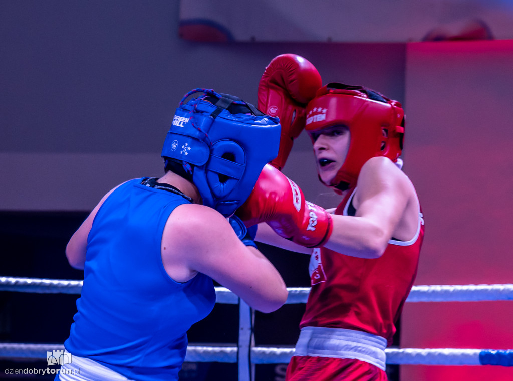 Walki wieczoru na XXIX MTB Copernicus Boxing Cup