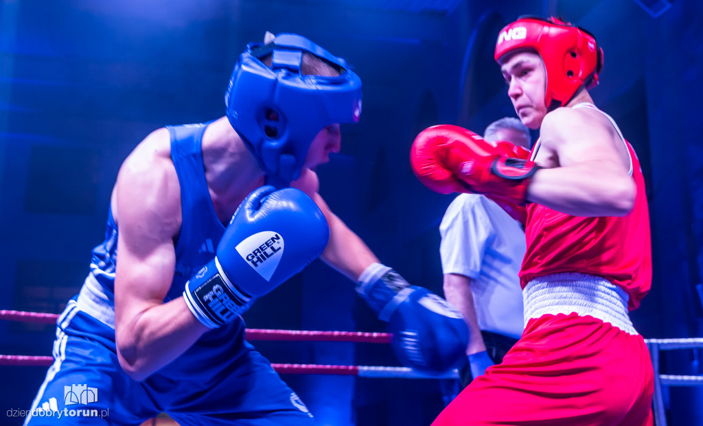 Walki wieczoru na XXIX MTB Copernicus Boxing Cup