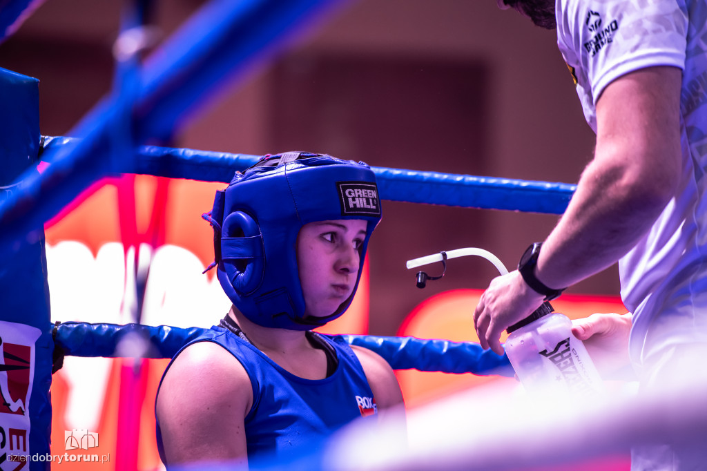 Walki wieczoru na XXIX MTB Copernicus Boxing Cup