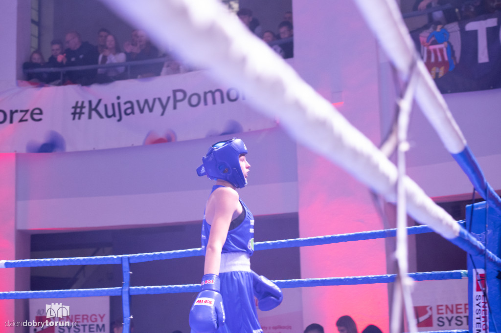 Walki wieczoru na XXIX MTB Copernicus Boxing Cup