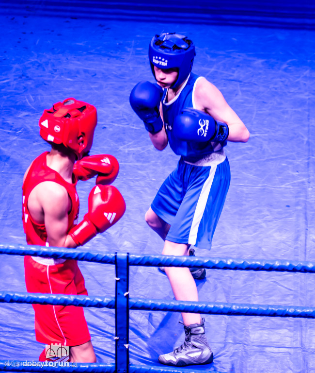 Walki wieczoru na XXIX MTB Copernicus Boxing Cup