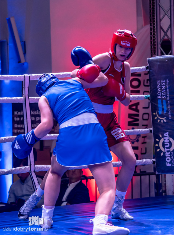 Walki wieczoru na XXIX MTB Copernicus Boxing Cup