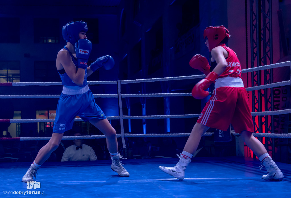 Walki wieczoru na XXIX MTB Copernicus Boxing Cup