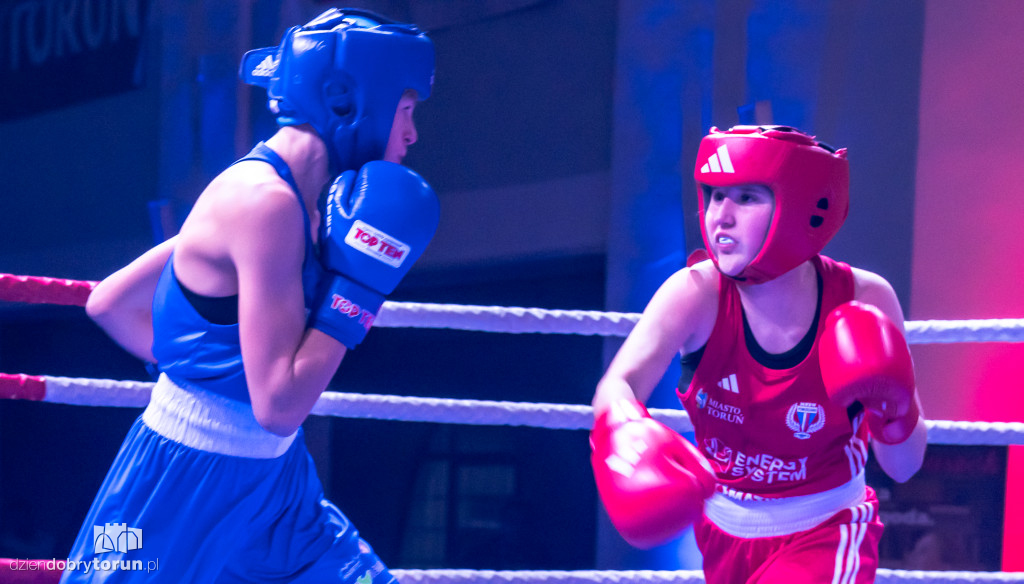 Walki wieczoru na XXIX MTB Copernicus Boxing Cup