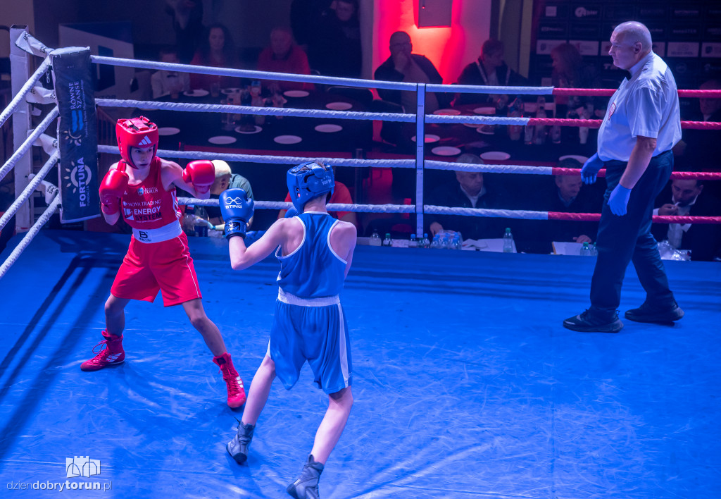 Walki wieczoru na XXIX MTB Copernicus Boxing Cup