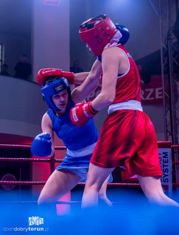 Walki wieczoru na XXIX MTB Copernicus Boxing Cup