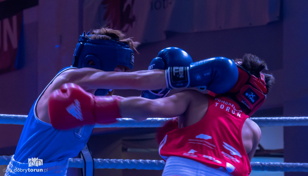 Walki wieczoru na XXIX MTB Copernicus Boxing Cup