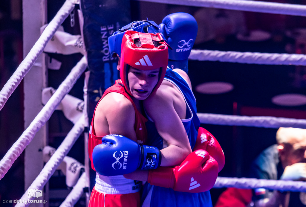Walki wieczoru na XXIX MTB Copernicus Boxing Cup