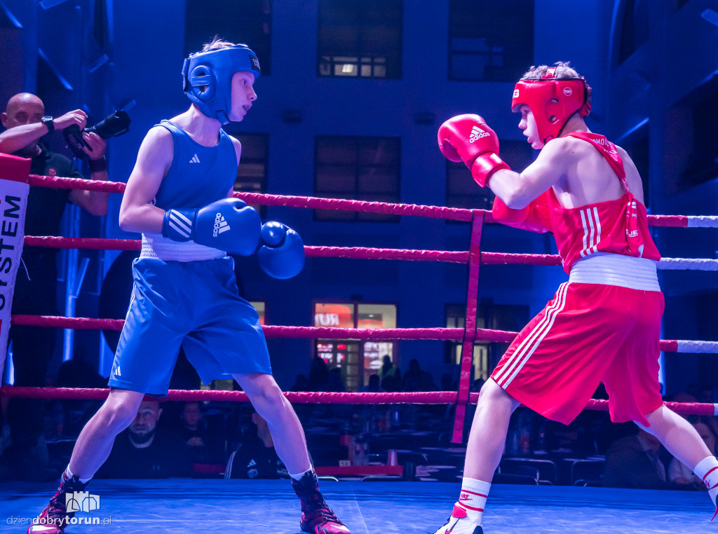 Walki wieczoru na XXIX MTB Copernicus Boxing Cup