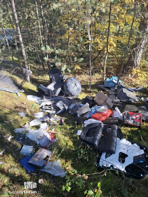 Dzikie wysypisko w lesie