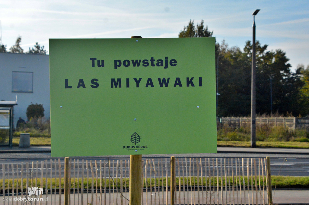 Pierwszy mikrolas na lewym brzegu Wisły