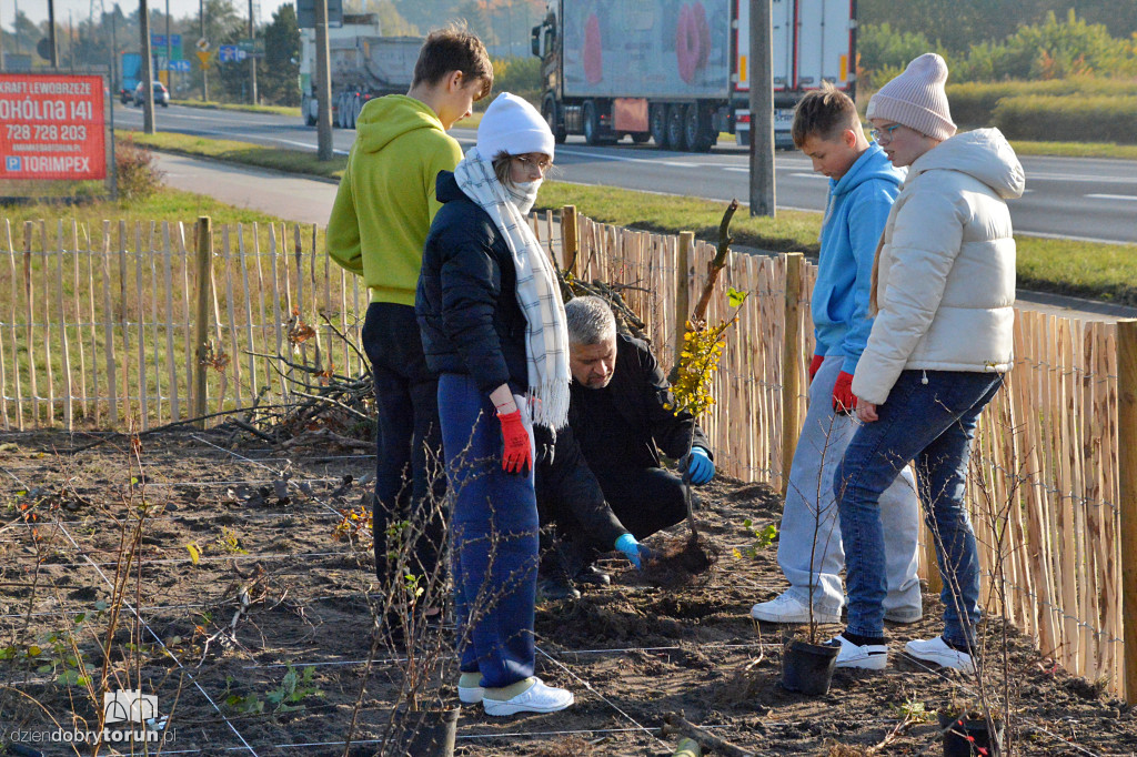 Pierwszy mikrolas na lewym brzegu Wisły