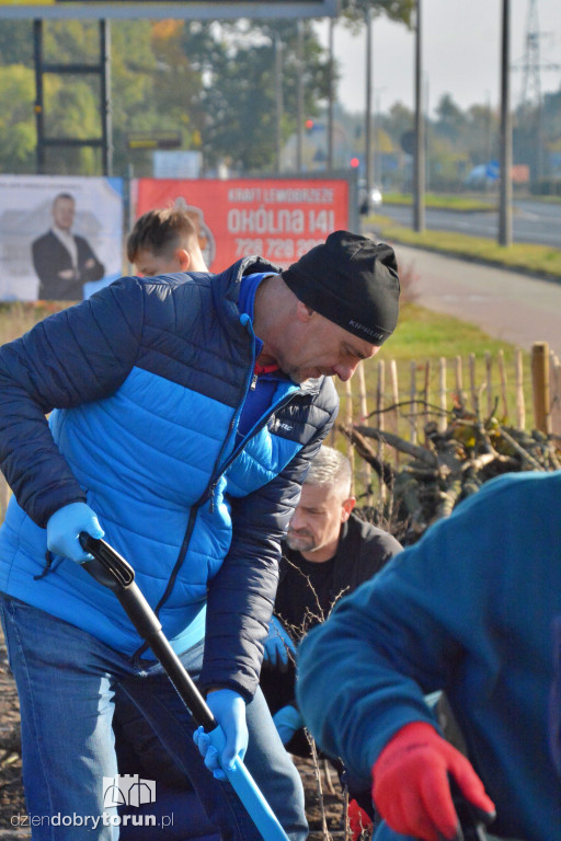 Pierwszy mikrolas na lewym brzegu Wisły