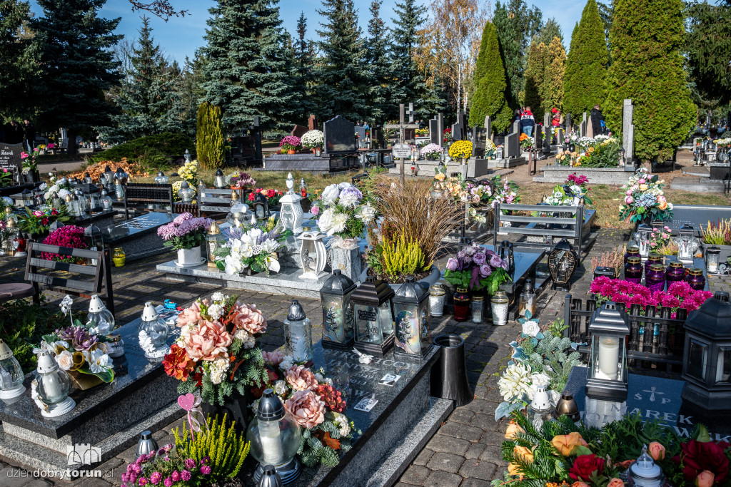 1 listopada na Centralnym Cmentarzu Komunalnym