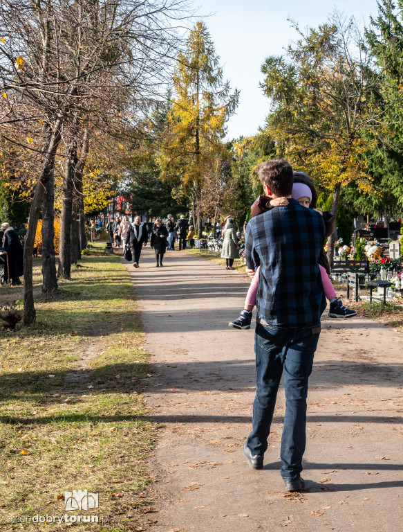 1 listopada na Centralnym Cmentarzu Komunalnym