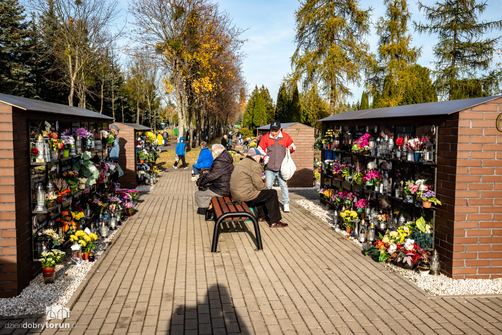 1 listopada na Centralnym Cmentarzu Komunalnym