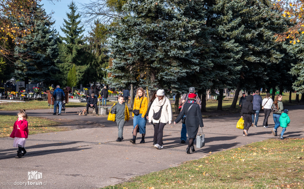 1 listopada na Centralnym Cmentarzu Komunalnym