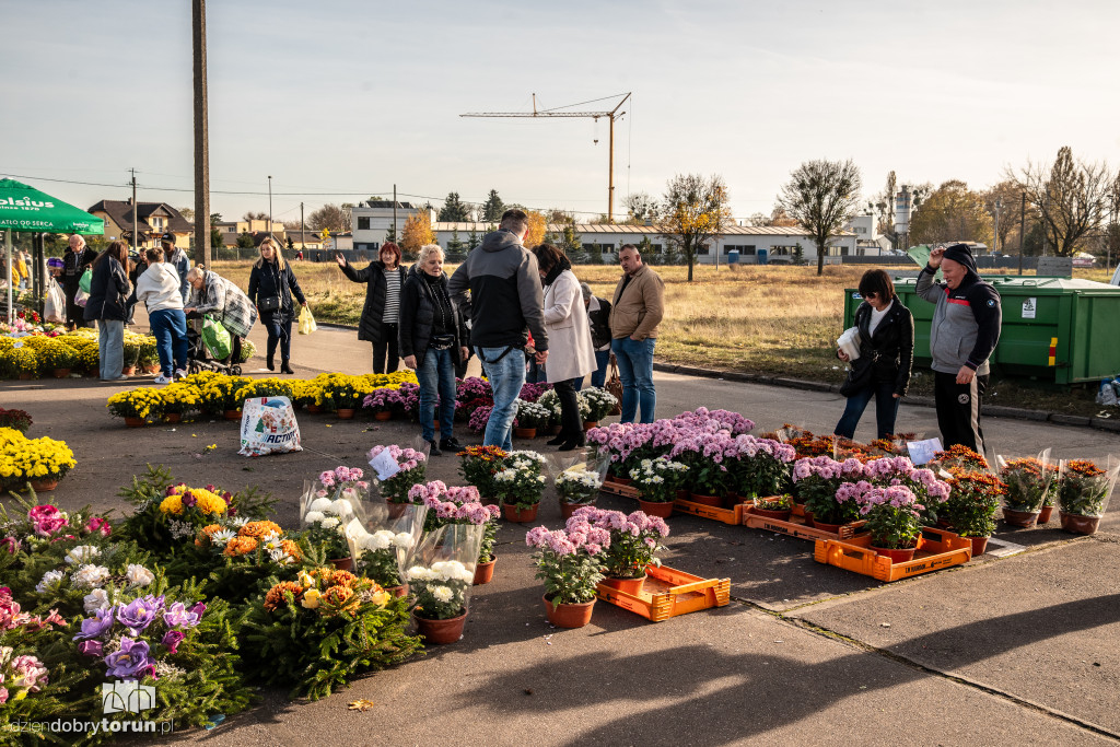 1 listopada na Centralnym Cmentarzu Komunalnym