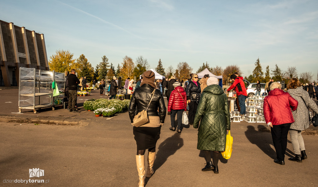 1 listopada na Centralnym Cmentarzu Komunalnym