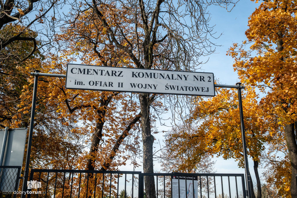  1 listopada na Cmentarzu Komunalnym nr 2