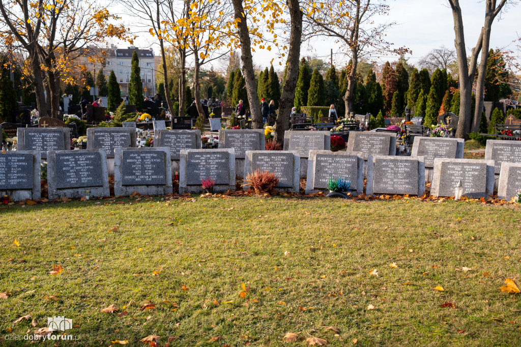 1 listopada na Cmentarzu Komunalnym nr 2
