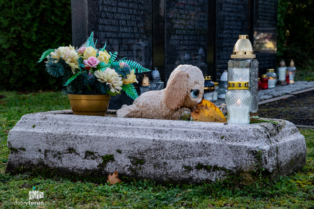  1 listopada na Cmentarzu Komunalnym nr 2
