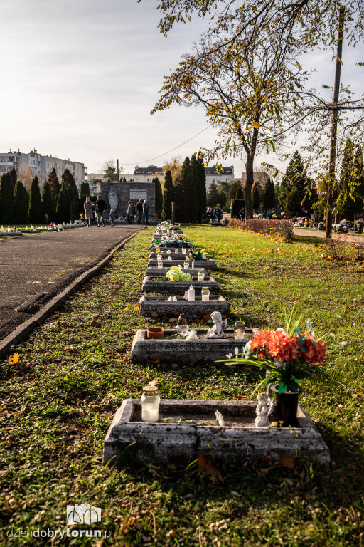  1 listopada na Cmentarzu Komunalnym nr 2