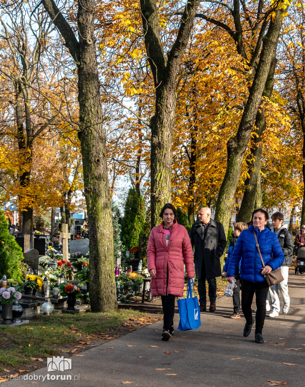  1 listopada na Cmentarzu Komunalnym nr 2