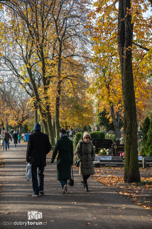  1 listopada na Cmentarzu Komunalnym nr 2